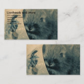 Lionhead en meer visitekaartje (Voorkant / Achterkant)