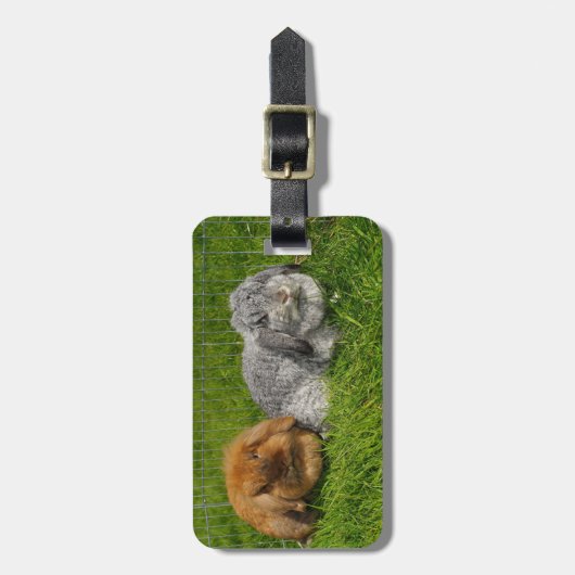 Lionhead Holland Mini Lop Bunny Rabbit Bagagelabel (Voorkant verticaal)