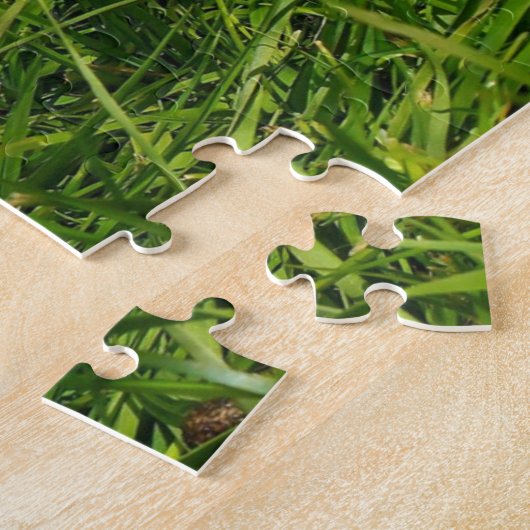 Lionhead Holland Mini Lop Bunny Rabbit Legpuzzel (Zijkant)