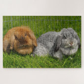 Lionhead Holland Mini Lop Bunny Rabbit Legpuzzel (Horizontaal)