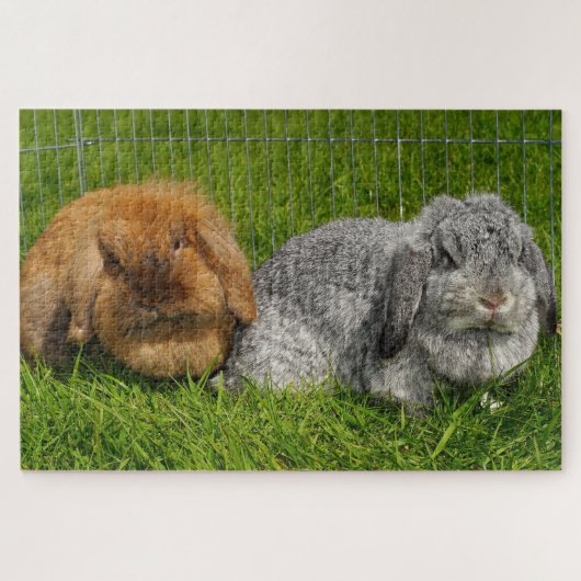 Lionhead Holland Mini Lop Bunny Rabbit Legpuzzel (Horizontaal)