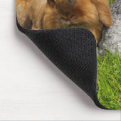 Lionhead Holland Mini Lop Bunny Rabbit Muismat (Hoek)