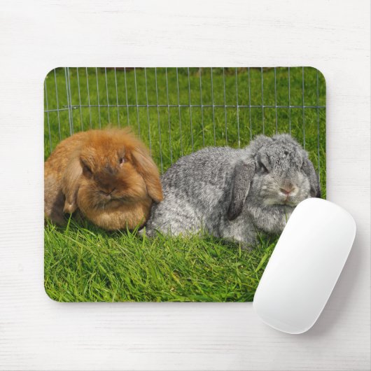 Lionhead Holland Mini Lop Bunny Rabbit Muismat (Met muis)