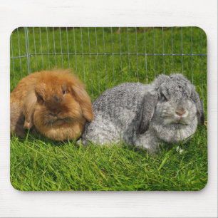 Lionhead Holland Mini Lop Bunny Rabbit Muismat