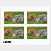 Lionhead Holland Mini Lop Bunny Rabbit Rechthoekige Sticker (Vel)