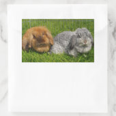 Lionhead Holland Mini Lop Bunny Rabbit Rechthoekige Sticker (Tas)