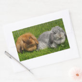 Lionhead Holland Mini Lop Bunny Rabbit Rechthoekige Sticker (Envelop)