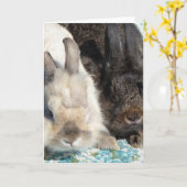 Lionhead konijnen kaart (Gele Bloem)