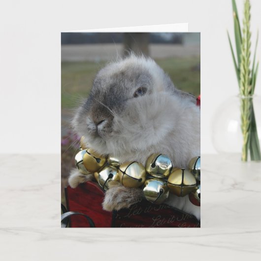 Lionhead Rabbit Christmas Feestdagen Kaart (Voorkant)