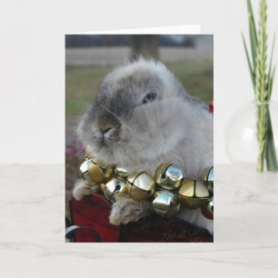 Lionhead Rabbit Christmas Feestdagen Kaart