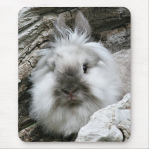 Lionhead Rabbit Muismat