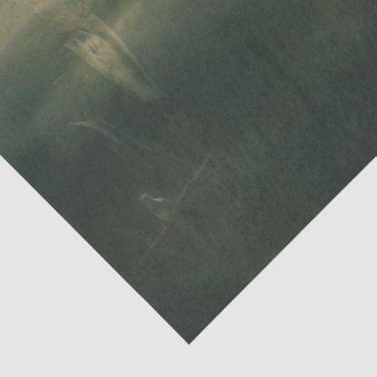 LionHeart-deduplicatieweefselpapier Tissuepapier (Detail)