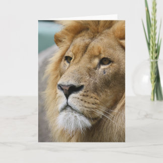 LionKing Kaart