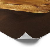 Lionkoprhyton Poster (Hoek)