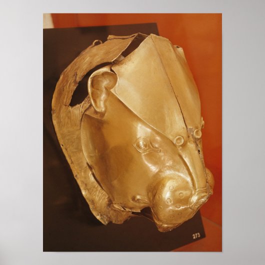 Lionkoprhyton Poster (Voorkant)