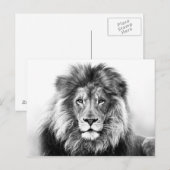 Lionontwerp Briefkaart (Voorkant / Achterkant)