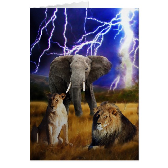 Lions Elephant South Africa (Voorkant)