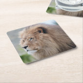 Lion's Embrace Kartonnen Onderzetters (Schuin)