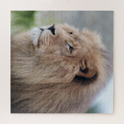 Lion's Embrace Legpuzzel (Horizontaal)