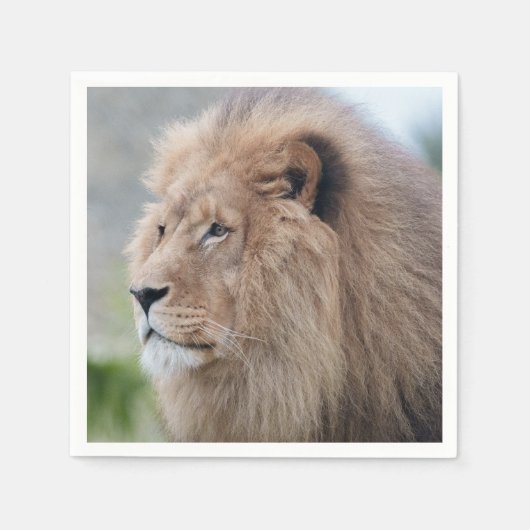 Lion's Embrace Servet (Voorkant)