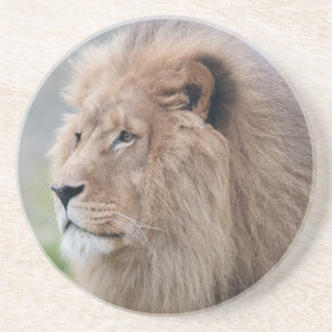 Lion's Embrace Zandsteen Onderzetter