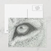 Lion's Eye |  BRIEFKAART (Voorkant / Achterkant)