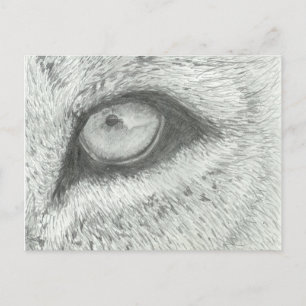 Lion's Eye    BRIEFKAART