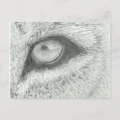 Lion's Eye |  BRIEFKAART (Voorkant)