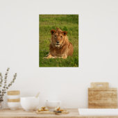 Lions Eyes Poster (Keuken)