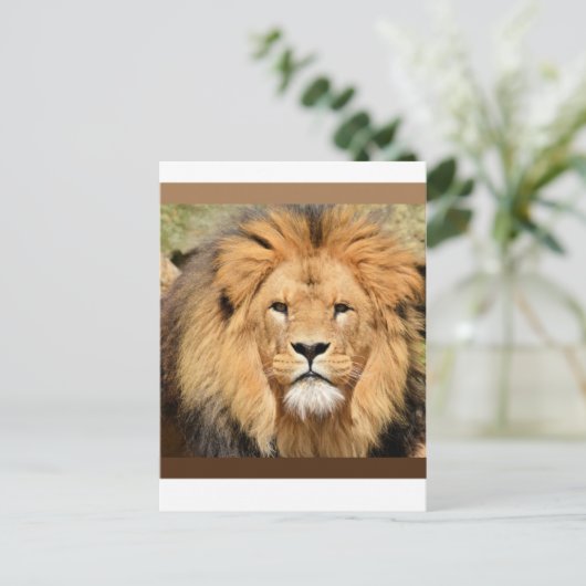 Lions Head Postcard Briefkaart (Staand voorkant)