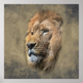 Lions Head Poster (Voorkant)