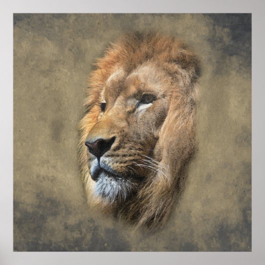 Lions Head Poster (Voorkant)