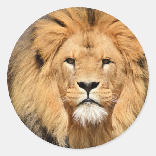 Lions Head Ronde Sticker (Voorkant)