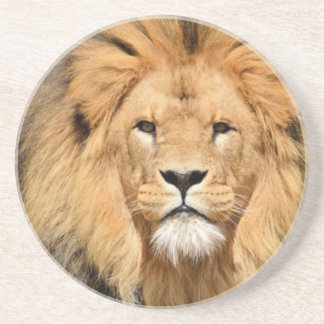 Lions Head Zandsteen Onderzetter