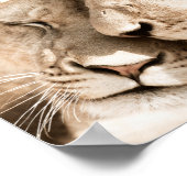 Lions Love Safari Dieren Fotografie Poster (Hoek)