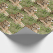 LIONS LOVING CADEAU WRAP CADEAUPAPIER (Hoek)