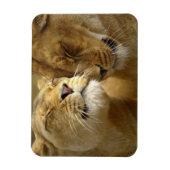 Lions Magnet Magneet (Verticaal)