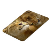 Lions Magnet Magneet (Linkerzijde)