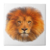 Lion's Mane Tegeltje (Voorkant)