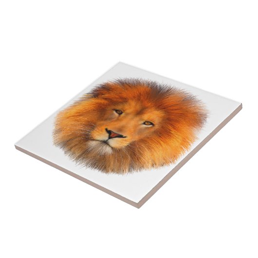 Lion's Mane Tegeltje (Zijkant)