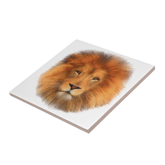 Lion's Mane Tegeltje (Zijkant)