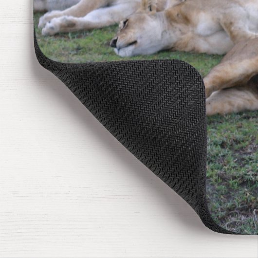 Lions Napping - Mousepad Muismat (Hoek)