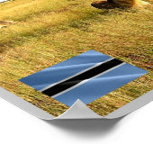 LIONS Okavango Delta - Poster (Hoek)