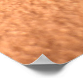 Lions Paw Poster (Hoek)