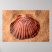 Lions Paw Poster (Voorkant)