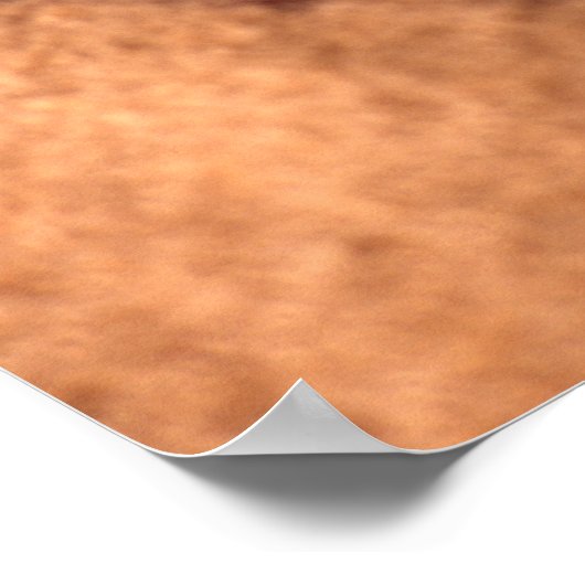 Lions Paw Poster (Hoek)