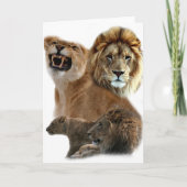 Lions Pride Kaart (Voorkant)