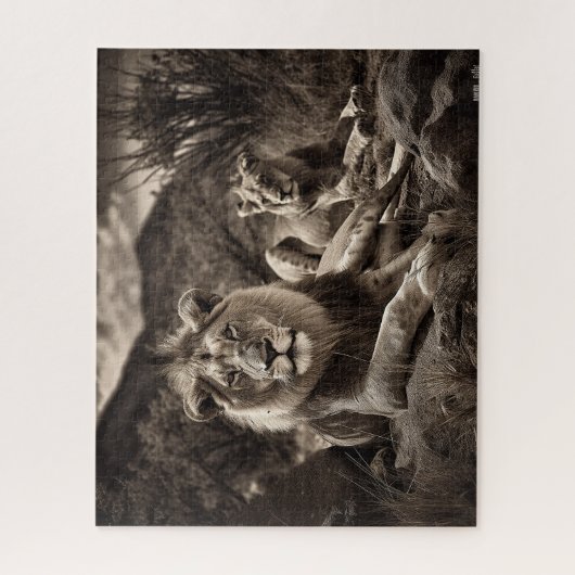 Lion's Rest - Black and White Jigzaag Puzzle Legpuzzel (Verticaal)