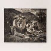 Lion's Rest - Black and White Jigzaag Puzzle Legpuzzel (Horizontaal)