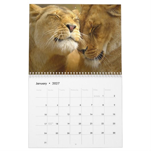 Lions Wall Agenda Kalender (Jan 2027)